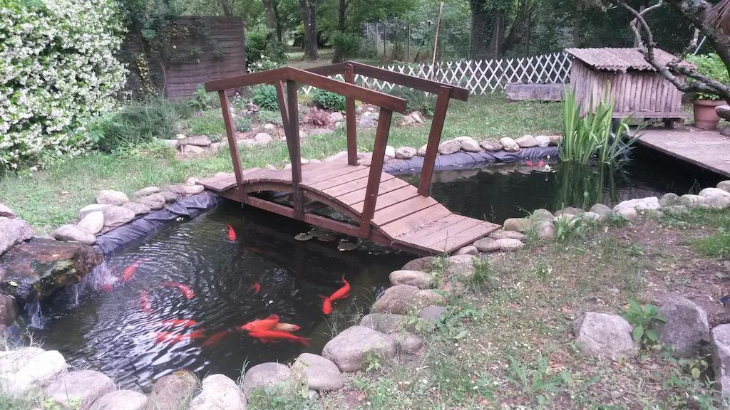 Camping Le Fief D'Anduze Luaran gambar