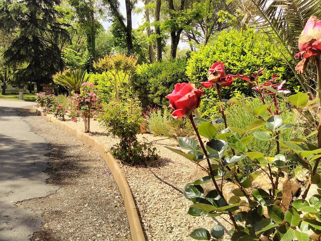 Camping Le Fief D'Anduze Luaran gambar
